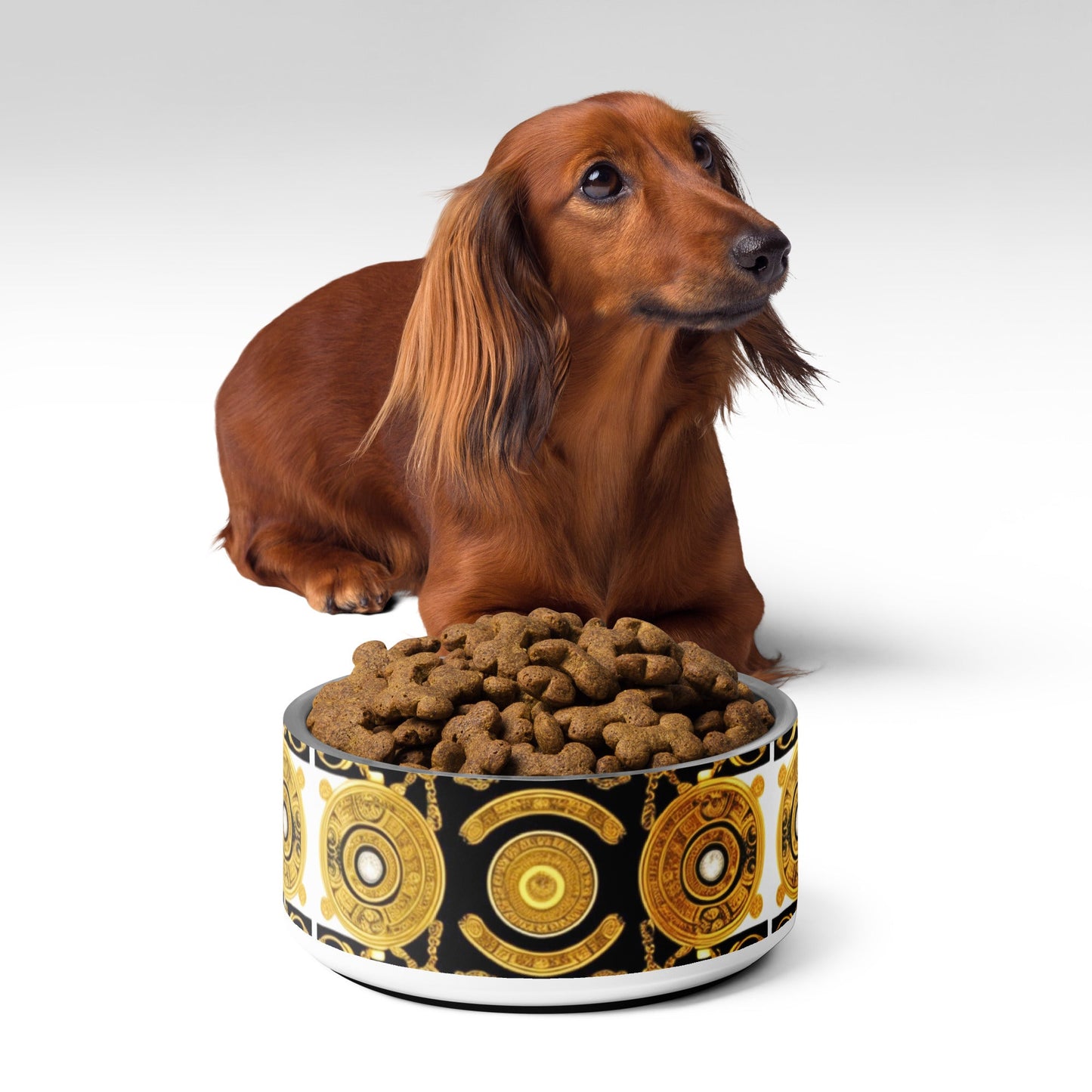Front Gold & Black Coin Signature Scarf Design Stainless Pet Bowl #MzKittyz #NikkiDKatArt