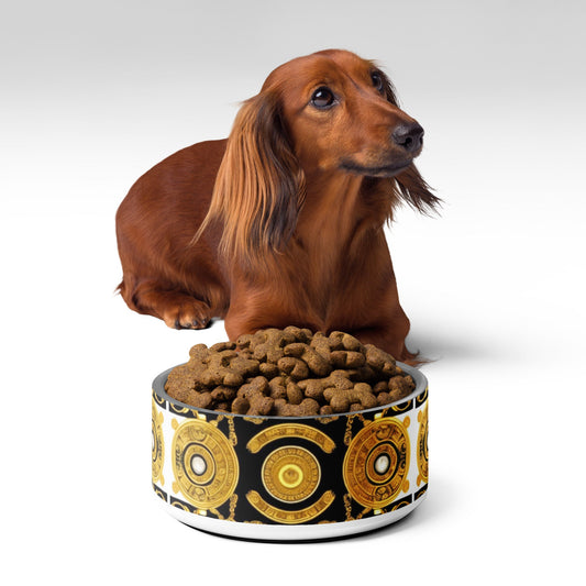 Front Gold & Black Coin Signature Scarf Design Stainless Pet Bowl #MzKittyz #NikkiDKatArt